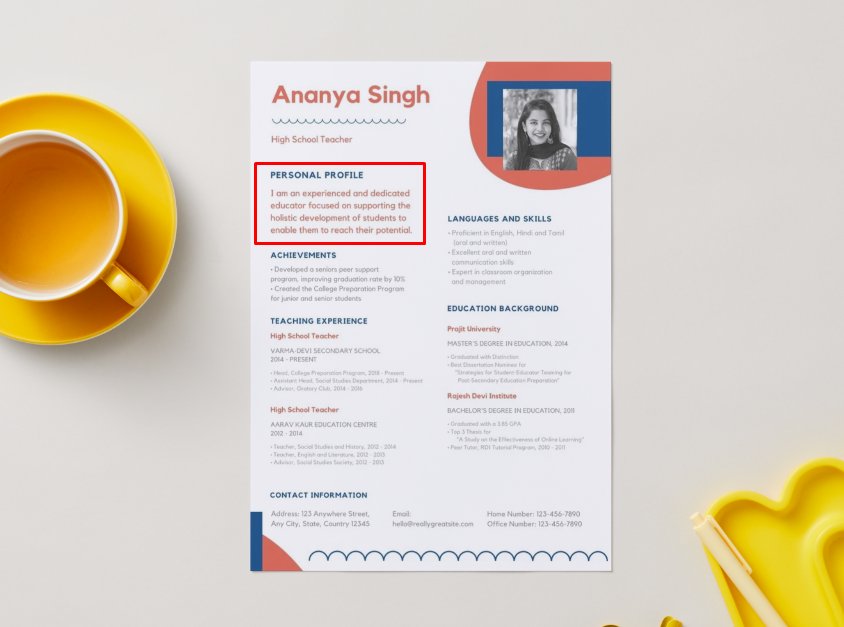 Career Summary phần chiếm spotlight trong CV của bạn - image 1