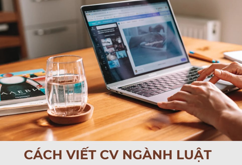 CV ngành luật - image 1