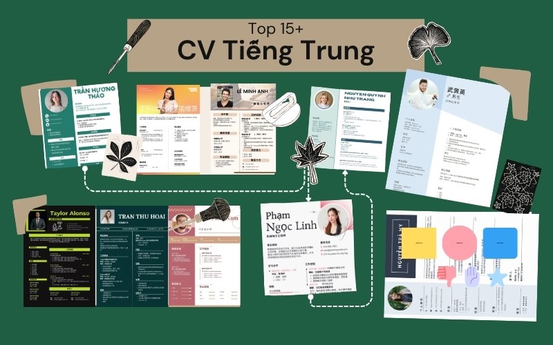 CV tiếng Trung - image 1