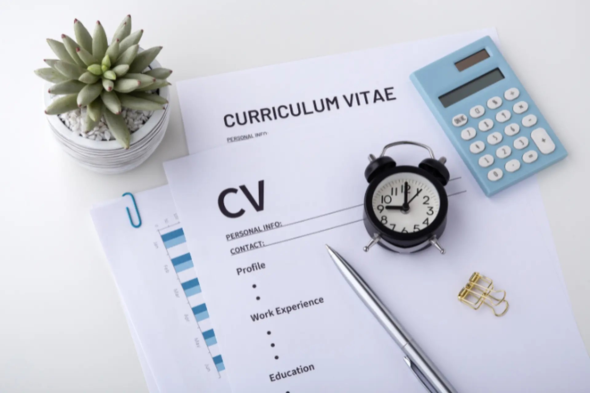 CV Ngành kinh tế: Bật mí cách viết đơn giản, ấn tượng