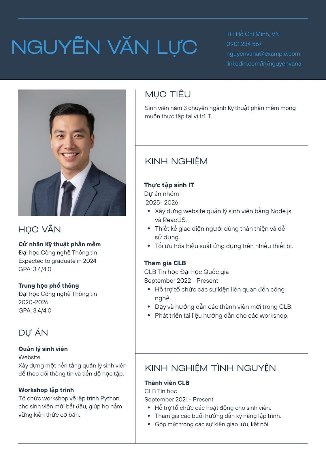 Mẫu CV IT - image 9
