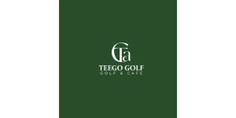 
Công Ty Tnhh Teego Việt Nam 