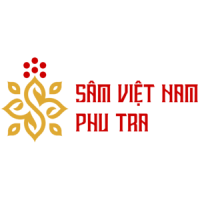 Công Ty Cổ Phần Tập Đoàn Sâm Việt Nam - VNG