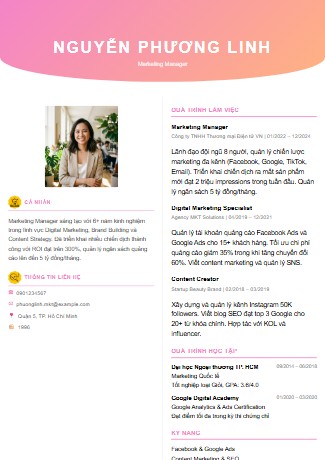 Mẫu CV Hiện đại 2